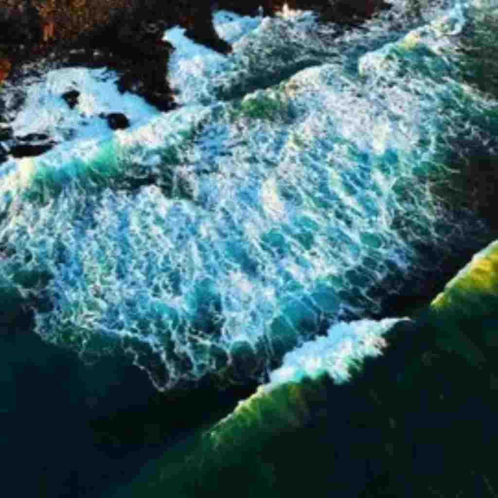 Natural Attractive Whatsapp DP