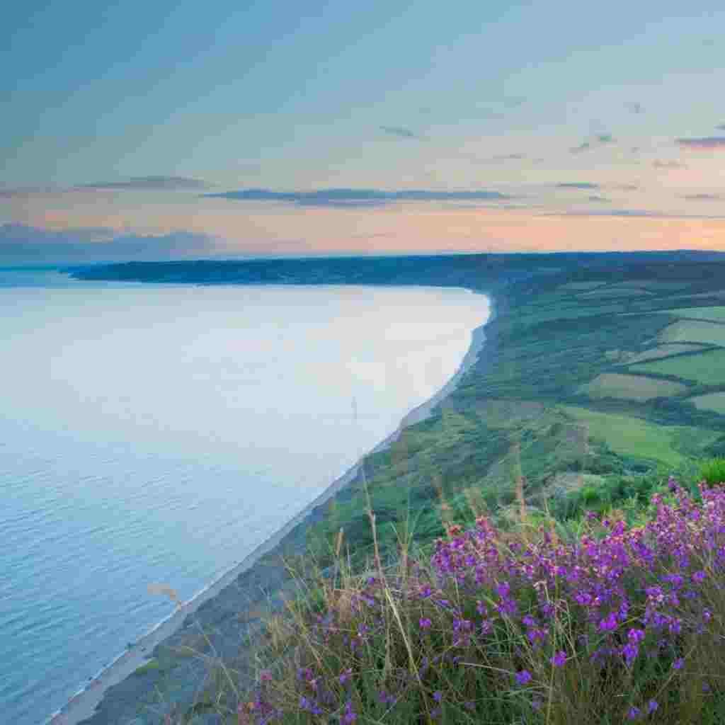 Natural Attractive Whatsapp DP