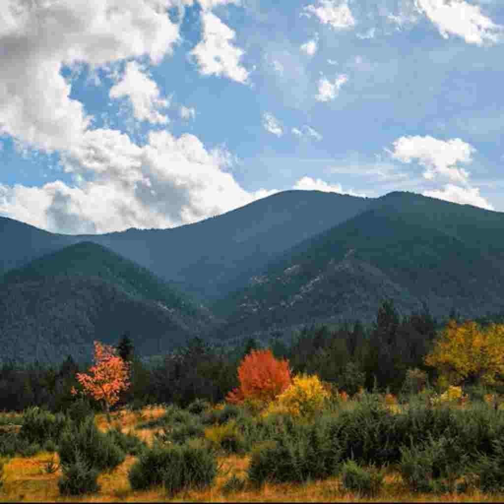 Natural Attractive Whatsapp DP