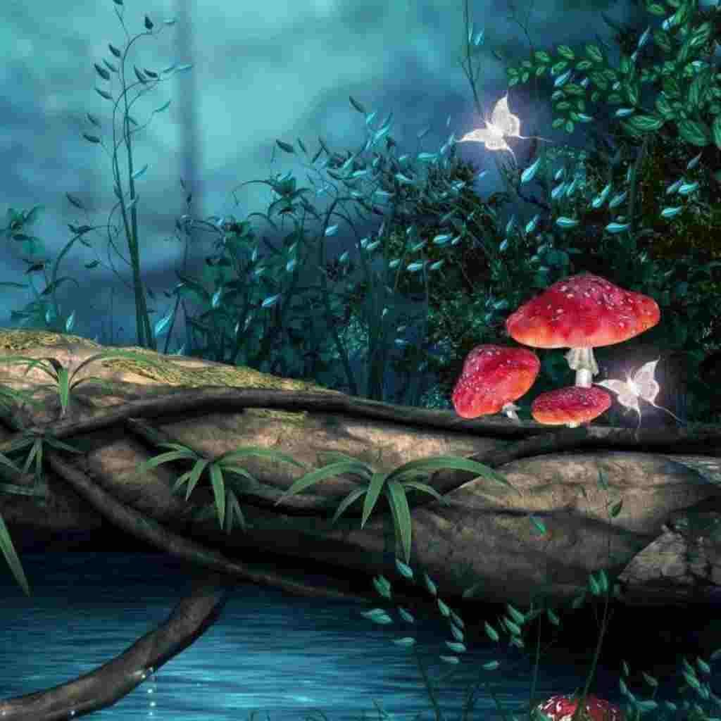 Natural Attractive Whatsapp DP