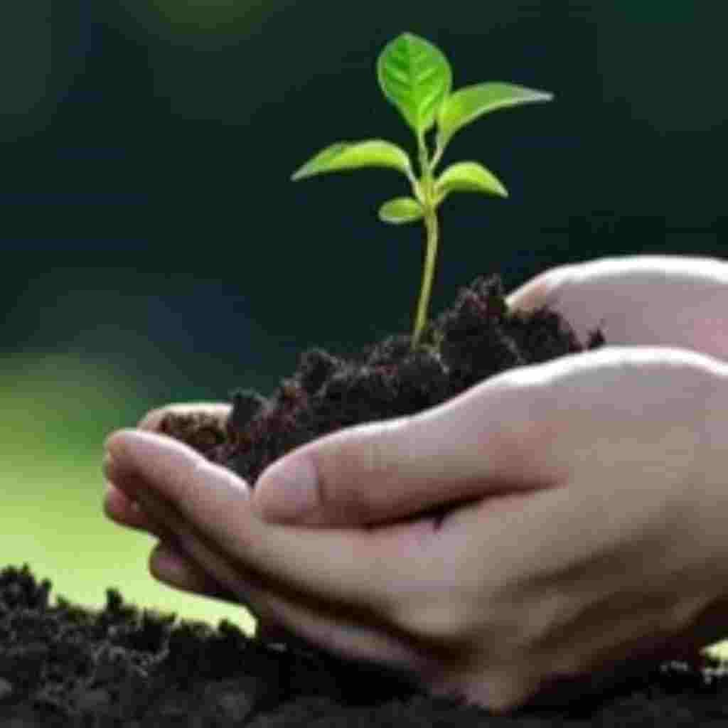 Natural Attractive Whatsapp DP