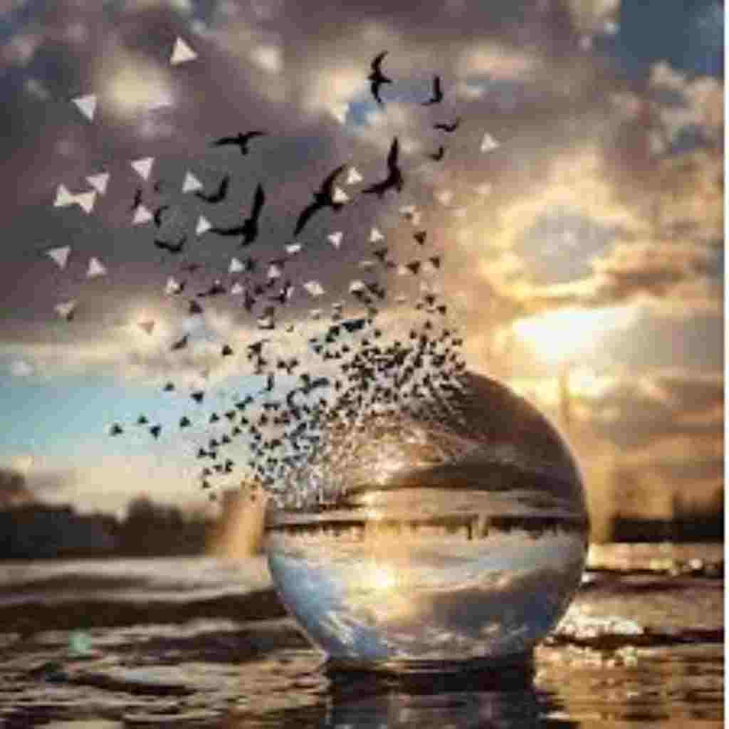 Natural Attractive Whatsapp DP