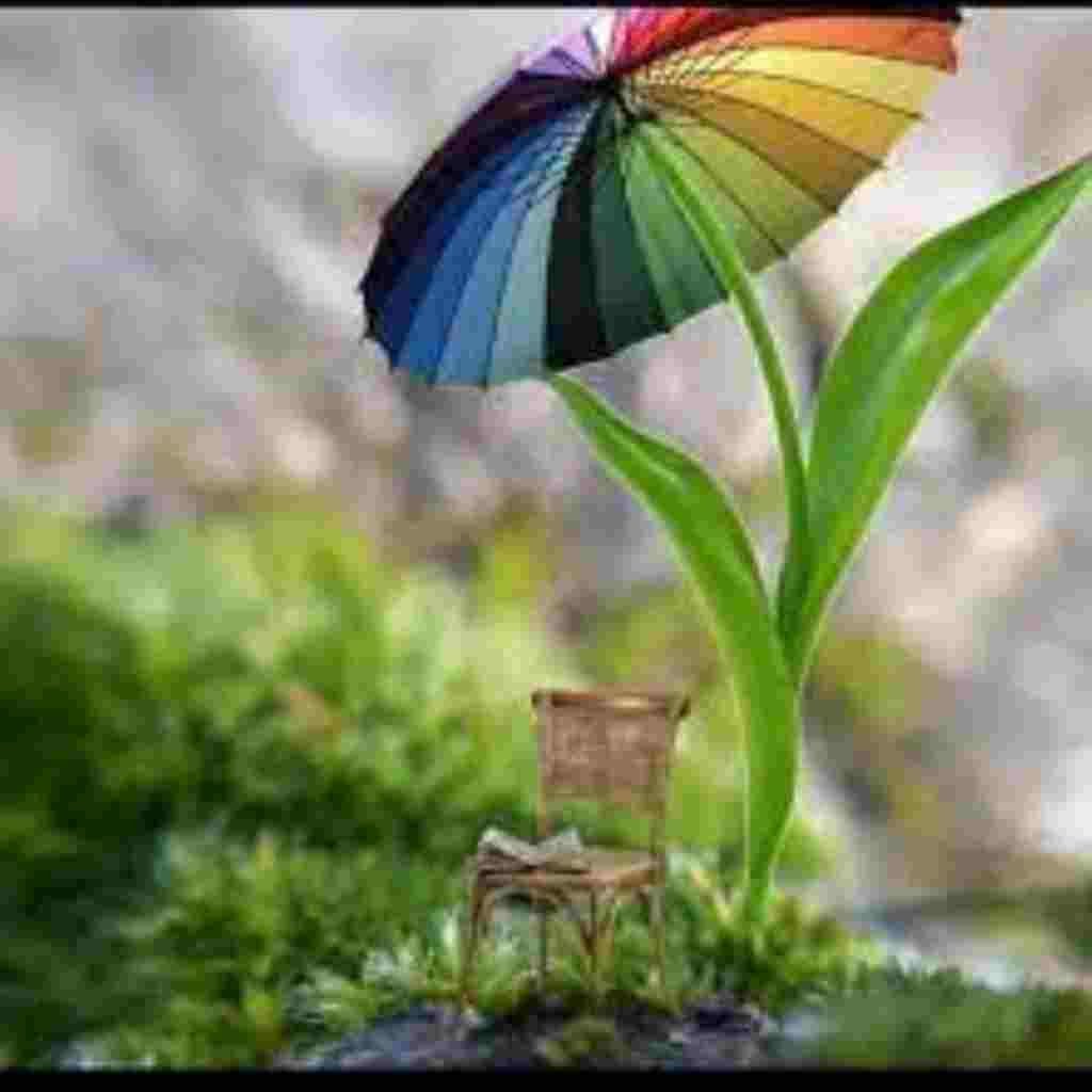 Natural Attractive Whatsapp DP