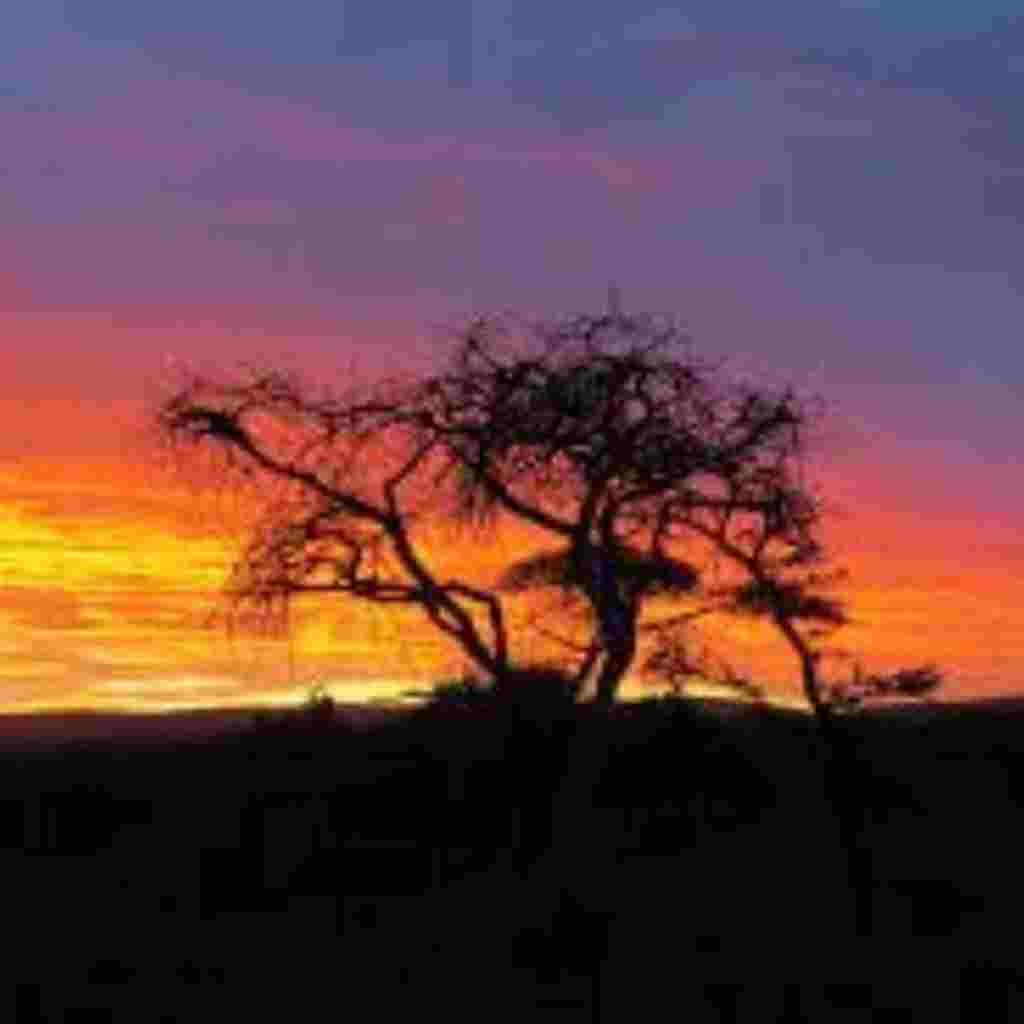 Natural Attractive Whatsapp DP