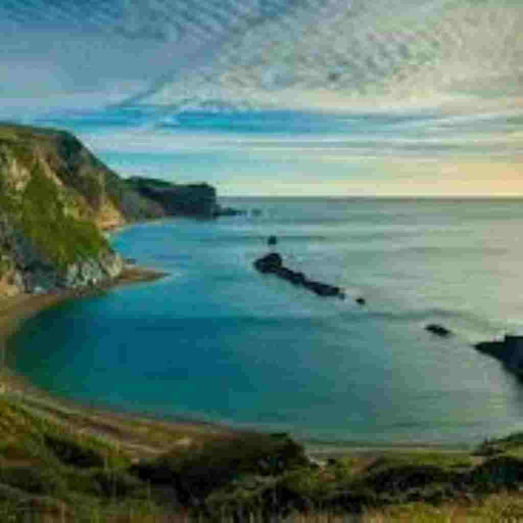 Natural Attractive Whatsapp DP