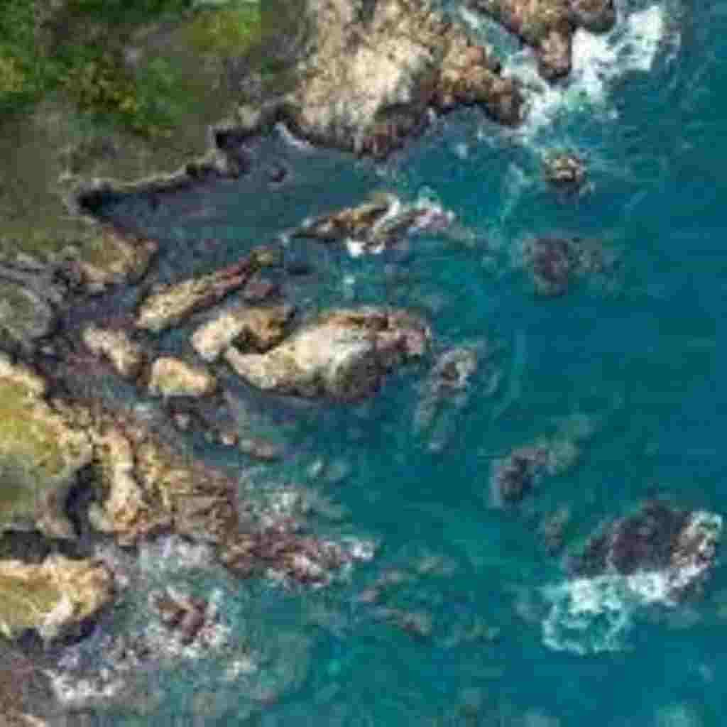 Natural Attractive Whatsapp DP