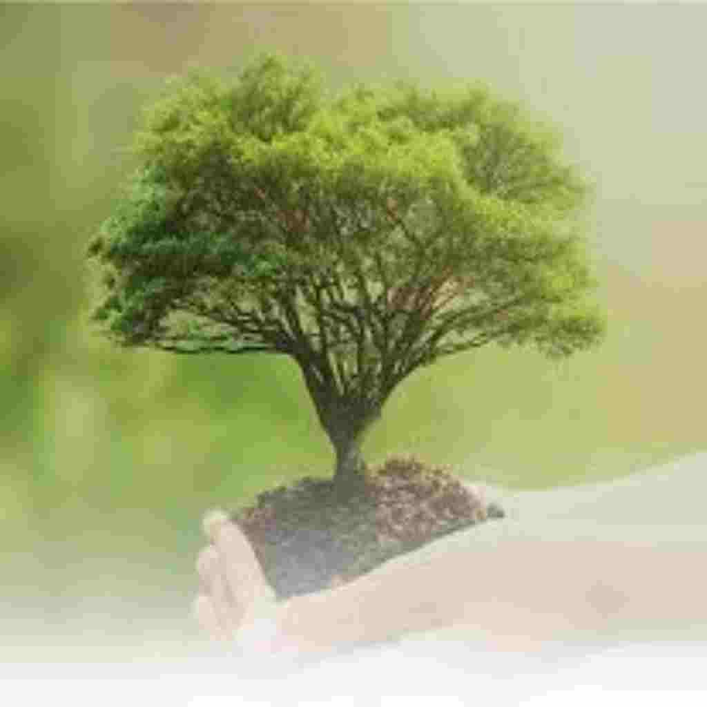 Natural Attractive Whatsapp DP