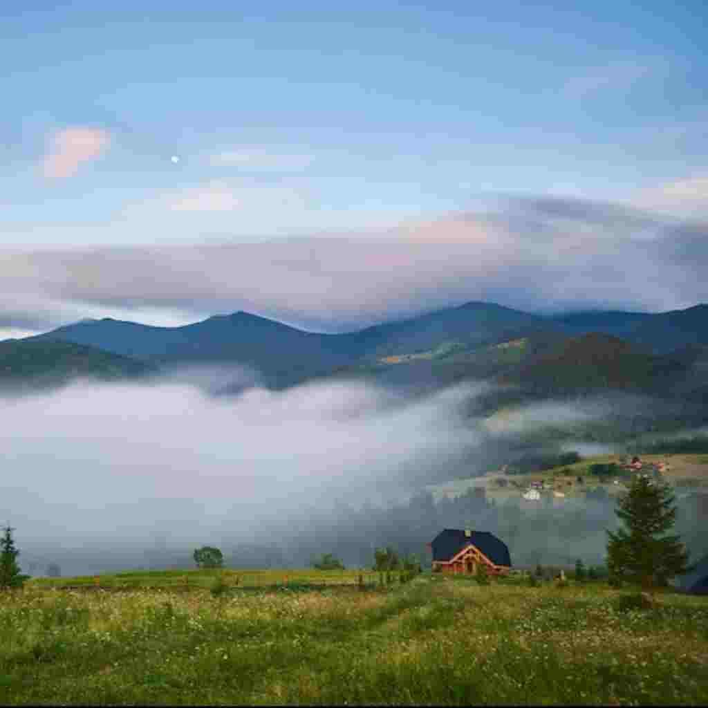 Natural Attractive Whatsapp DP