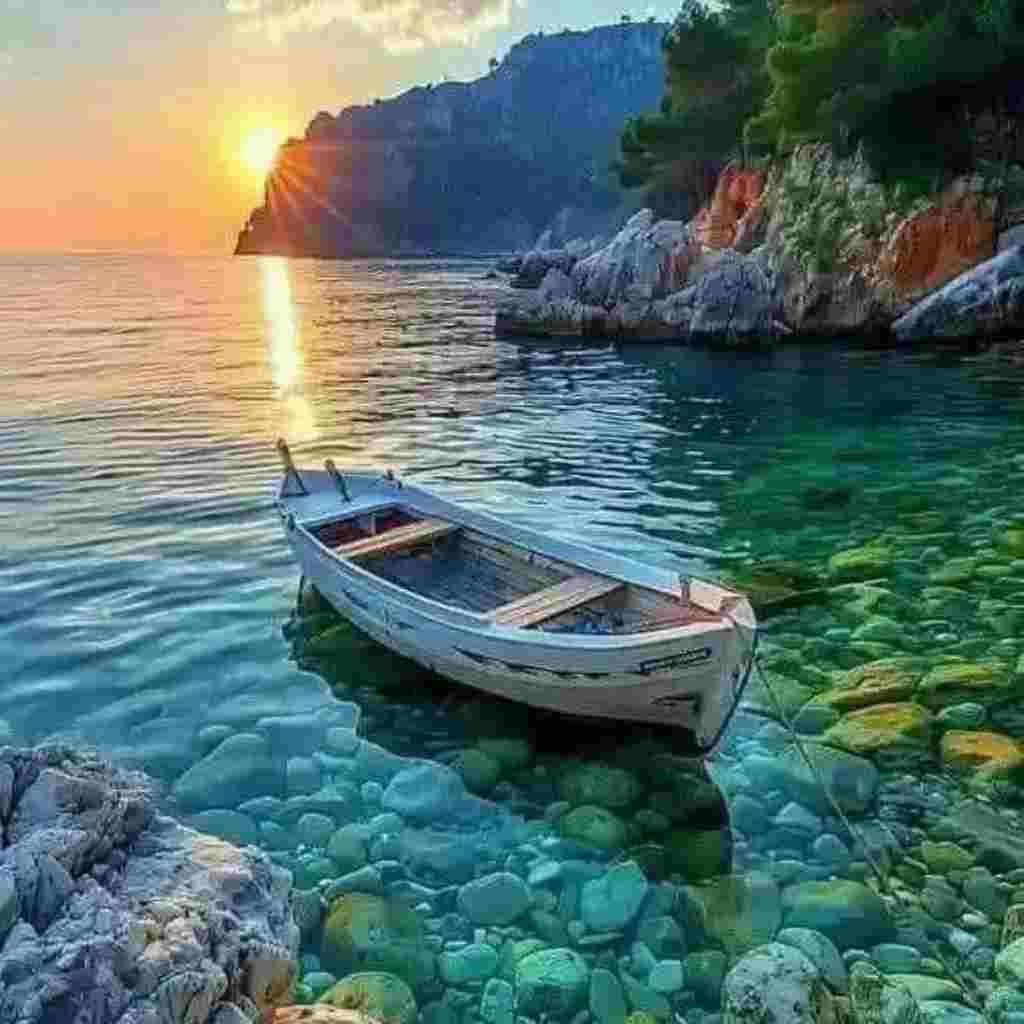 Natural Attractive Whatsapp DP