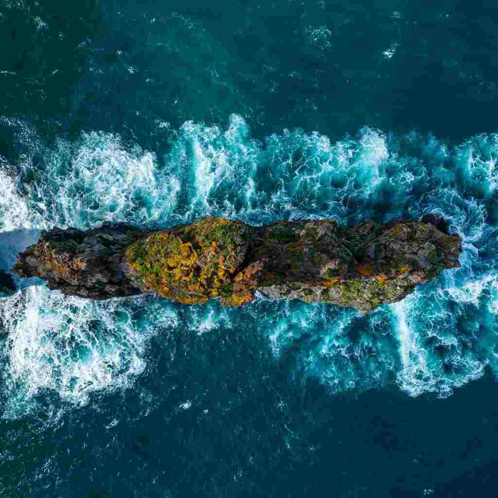 Natural Attractive Whatsapp DP