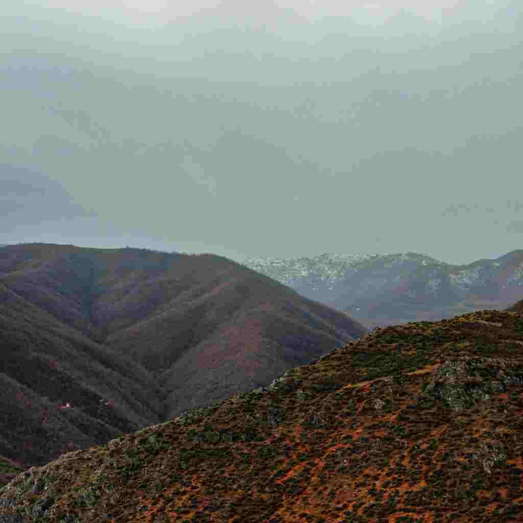 Natural Attractive Whatsapp DP