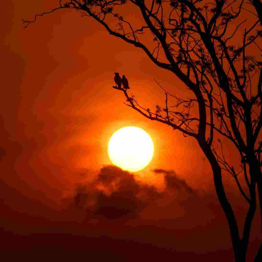 Natural Attractive Whatsapp DP