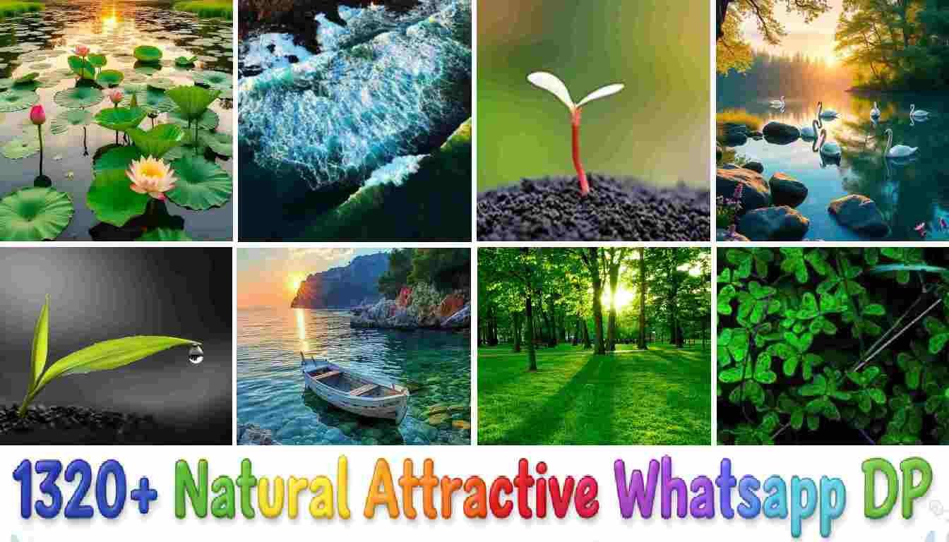 1320+ Natural Attractive Whatsapp DP | All trending collections