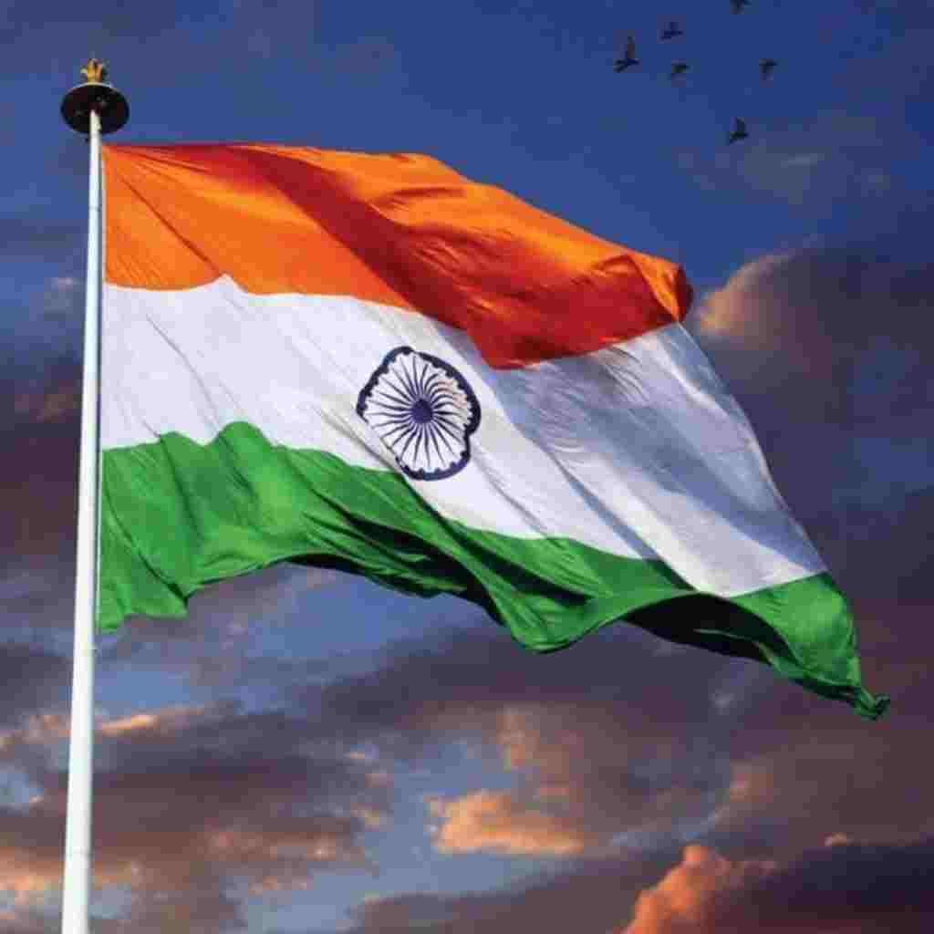 Beautiful Indian Flag DP