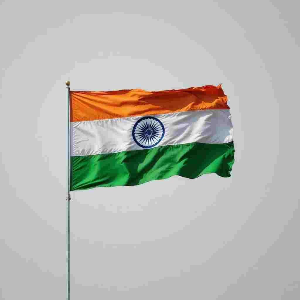 Indian Flag DP