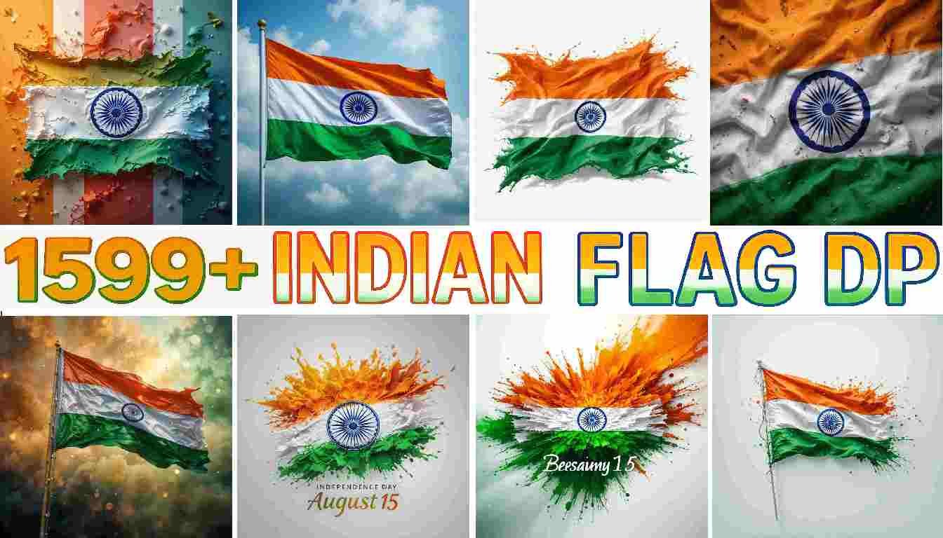 Indian Flag DP