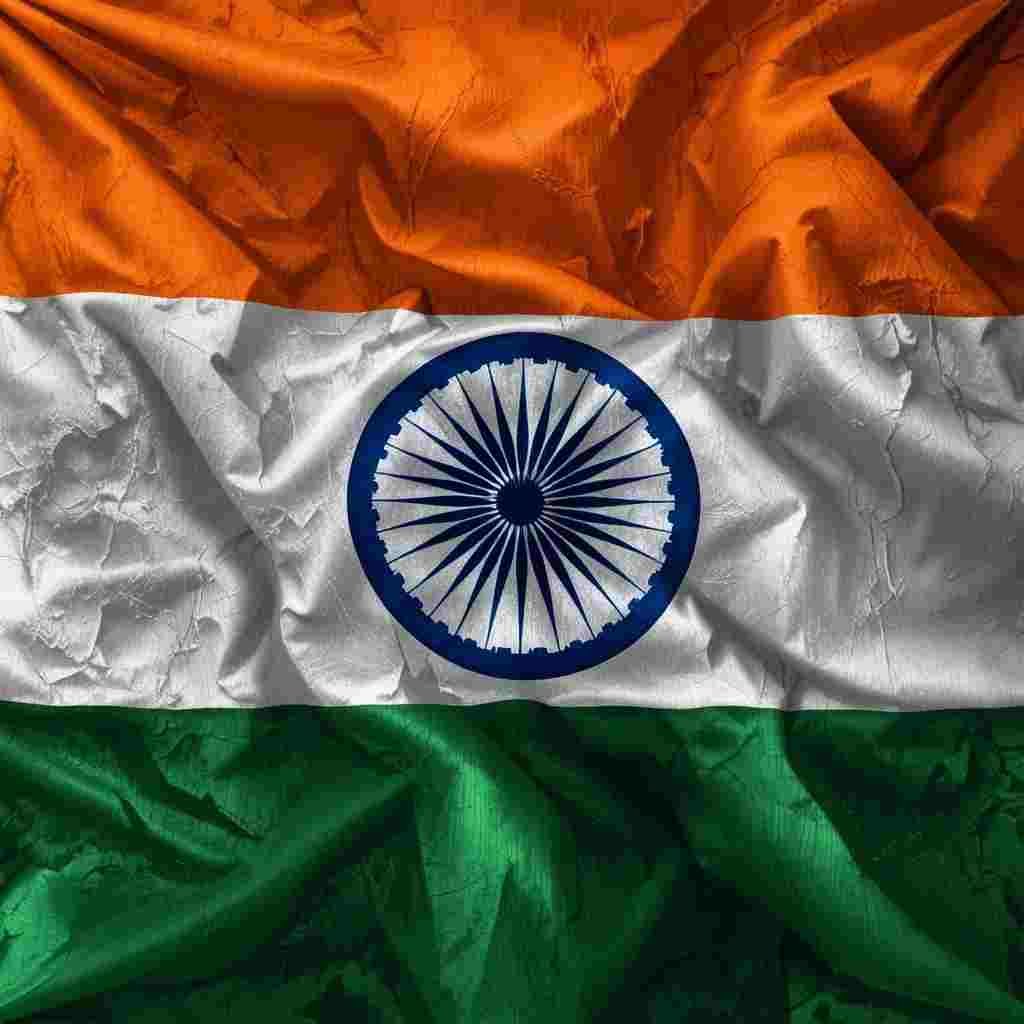 Unique Indian Flag DP